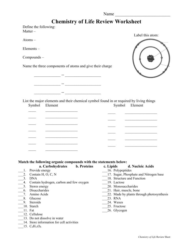 The Chemistry Of Life Worksheet Answers