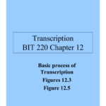 Transcription BIT 220 Chapter 12 Basic Process Of Figures 12 3